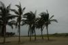 Miami Beach