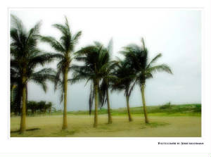 miamibeach.jpg